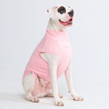 Camiseta para perro con bloqueador solar - Rosa