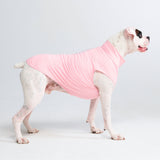Camiseta para perro con bloqueador solar - Rosa