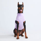 Camiseta para perro con bloqueador solar - Púrpura
