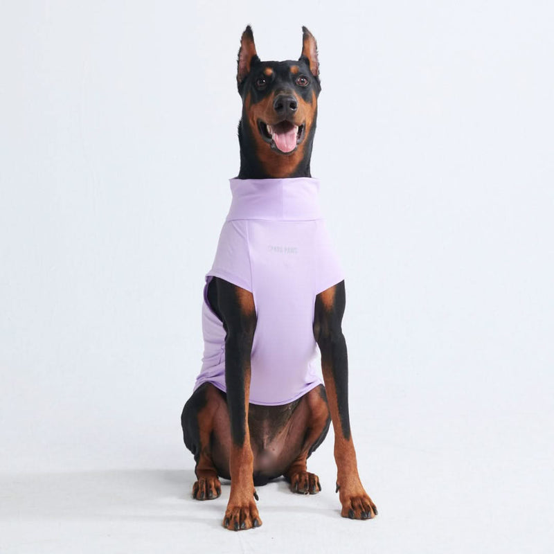 Camiseta para perro con bloqueador solar - Púrpura