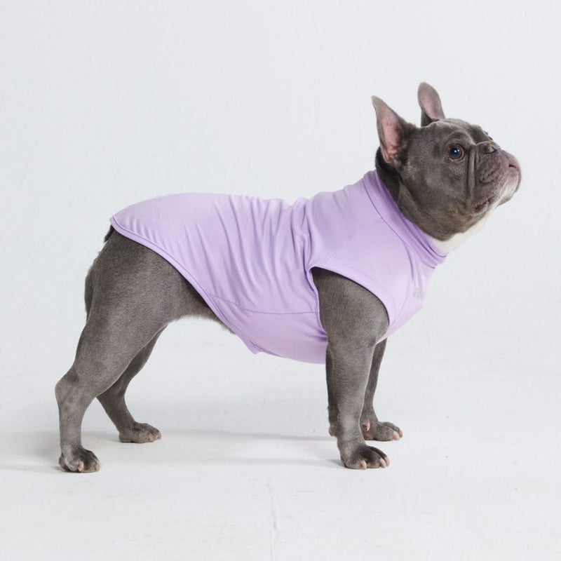 Camiseta para perro con bloqueador solar - Púrpura