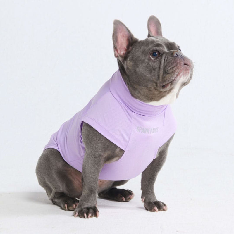 Camiseta para perro con bloqueador solar - Púrpura