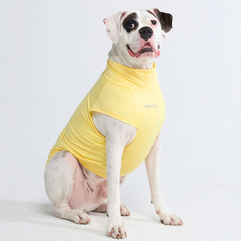Camiseta para perro con bloqueador solar - Amarillo