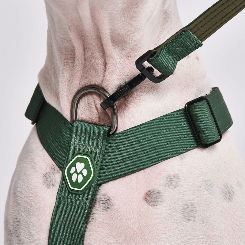 Arnés para perros Comfort Control No-Pull - Verde