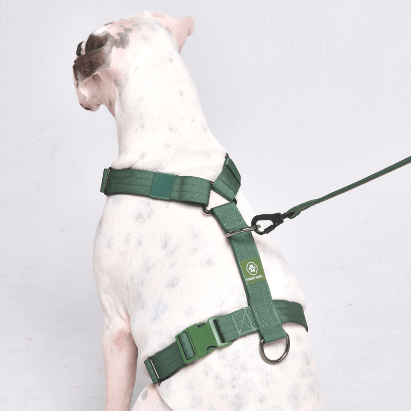 Arnés para perros Comfort Control No-Pull - Verde