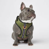 Arnés para perros Ultra Soft Activewear - Verde