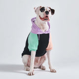 Cyber Punk Hoodie