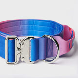 Conjunto de collar táctico para perros - Cono de nieve