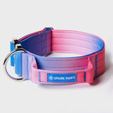Conjunto de collar táctico para perros - Cono de nieve