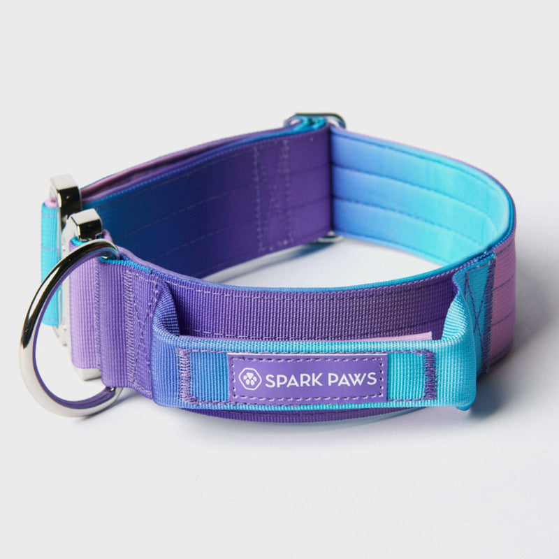 Juego de collar táctico para perros - 90s Retro