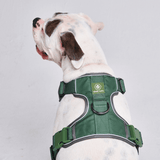 Arnés Comfort Control - Verde - [TALLA S] perros hasta 20kg/45lb