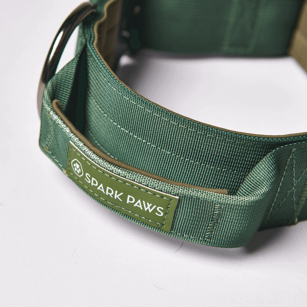 Collar Táctico De Nailon Ajustable De Alta Calidad Con Asa | Cuotas Sin