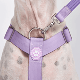 Arnés para perros Comfort Control No-Pull - Lila