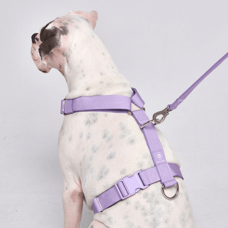 Arnés para perros Comfort Control No-Pull - Lila