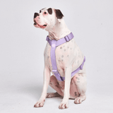 Arnés para perros Comfort Control No-Pull - Lila