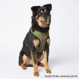 Arnés para perros Ultra Soft Activewear - Verde