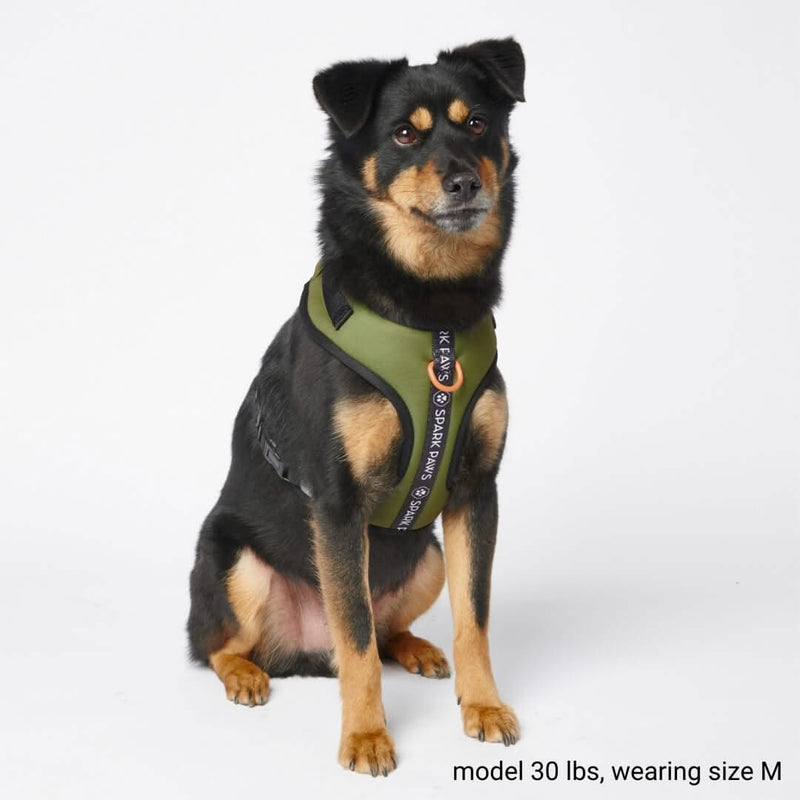 Arnés para perros Ultra Soft Activewear - Verde