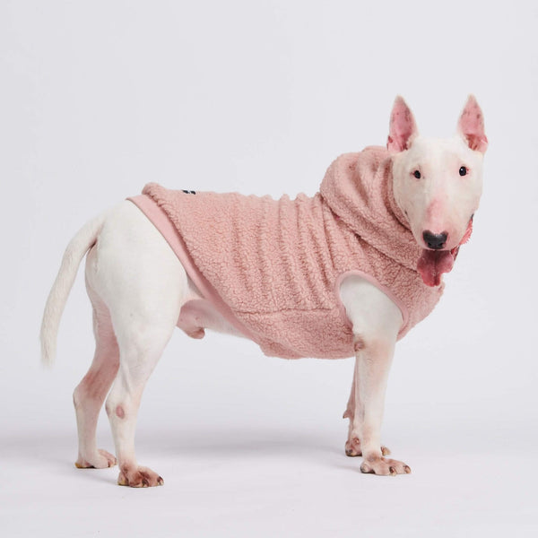 Chaqueta de perro Teddy Sherpa - Rosa