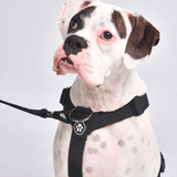 Arnés para perros Comfort Control No-Pull - Negro