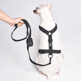 Arnés para perros Comfort Control No-Pull - Negro