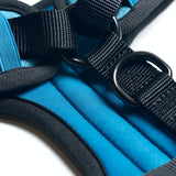 Arnés Activewear ultrasuave - Azul [Talla XS] perros de hasta 5 kg/10 lb