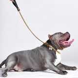 Correa para perro Cuban Link Gold