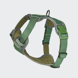 Arnés Comfort Control - Verde - [TALLA S] perros hasta 20kg/45lb