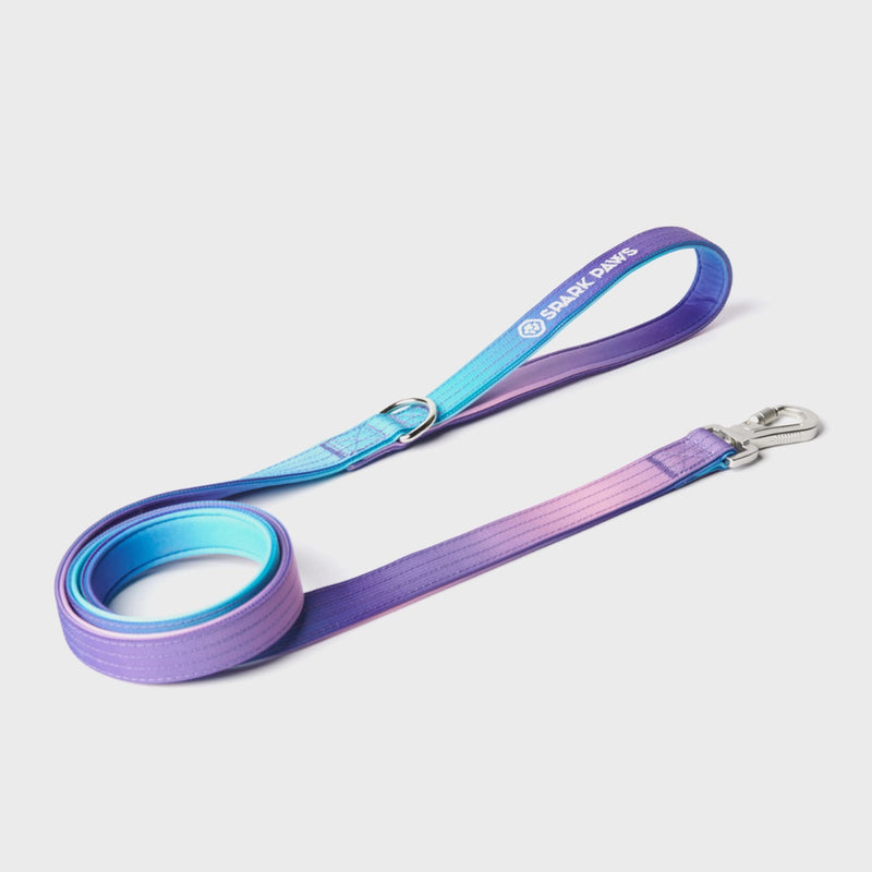 Juego de collar táctico para perros - 90s Retro