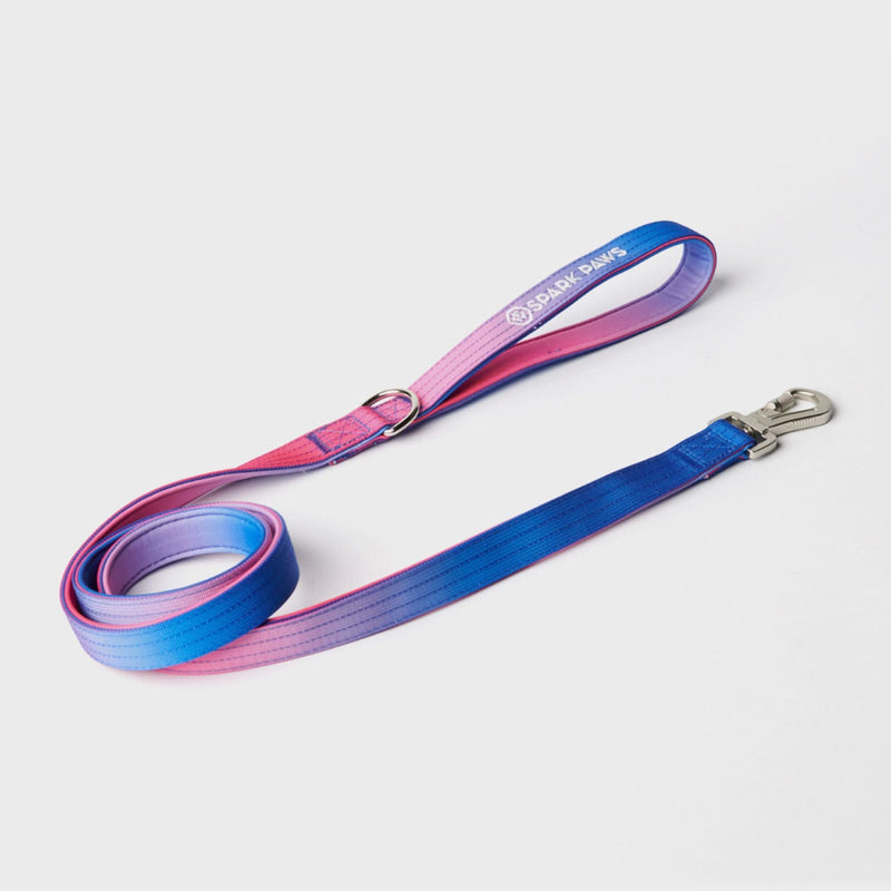 Conjunto de collar táctico para perros - Cono de nieve