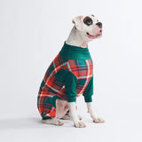 Pijama para perro: cuadros verdes y rojos
