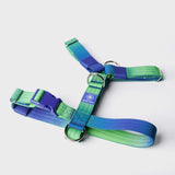 Arnés para perros Comfort Control No-Pull - Lime Wave