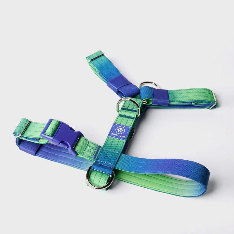 Arnés para perros Comfort Control No-Pull - Lime Wave