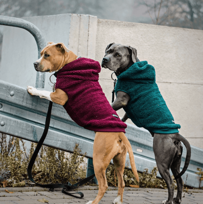 Chaqueta para perro Teddy Sherpa - Verde pino