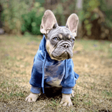 Sudadera de Terciopelo para Humanos - Azul Zafiro