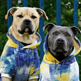 Sudadera de Terciopelo para Perros - Nova