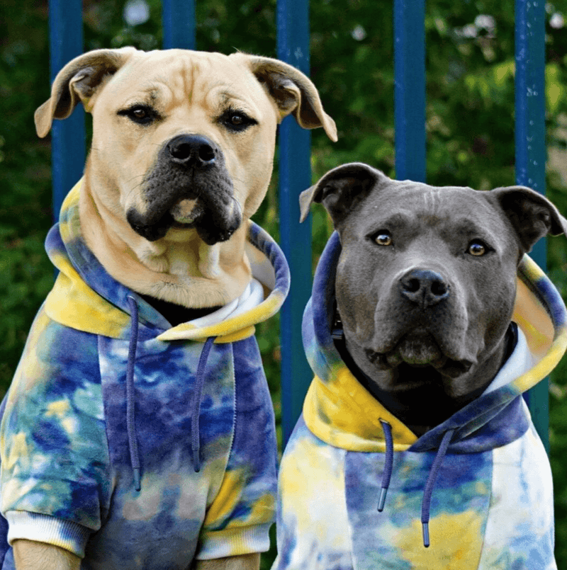 Sudadera de Terciopelo para Perros - Nova