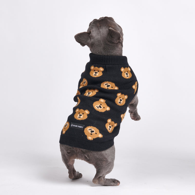 Suéter de punto para perro - Osito de peluche roto
