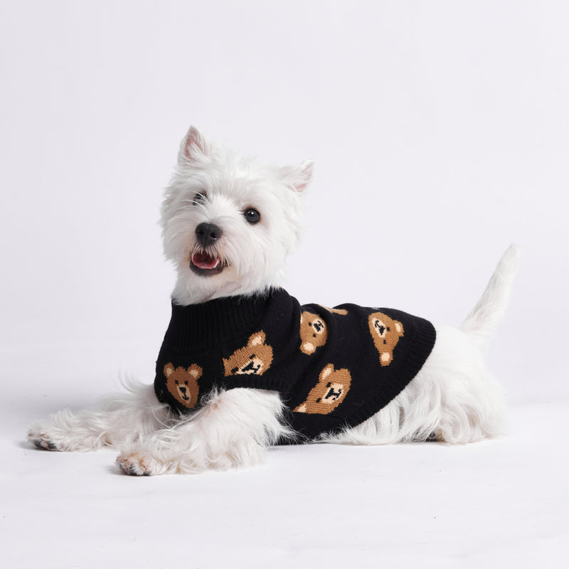 Suéter de punto para perro - Osito de peluche roto