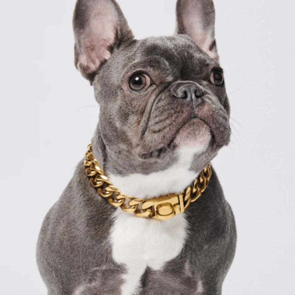 Chain link hotsell collar