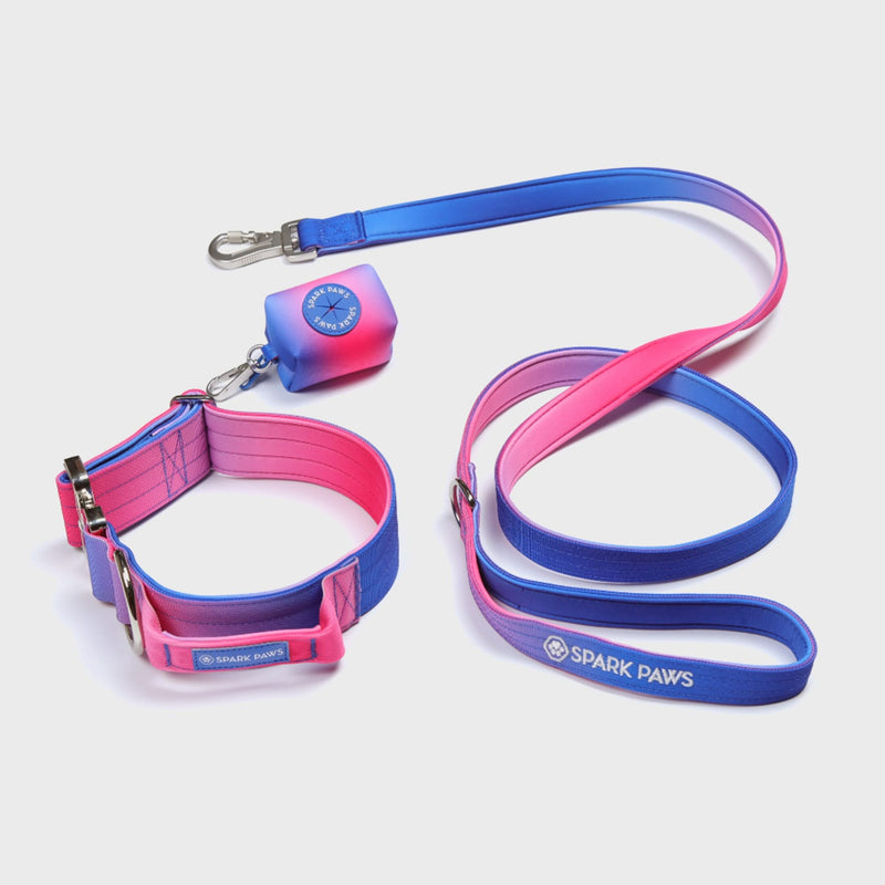 Conjunto de collar táctico para perros - Cono de nieve