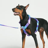 Arnés para perros Comfort Control No-Pull - 90s Retro