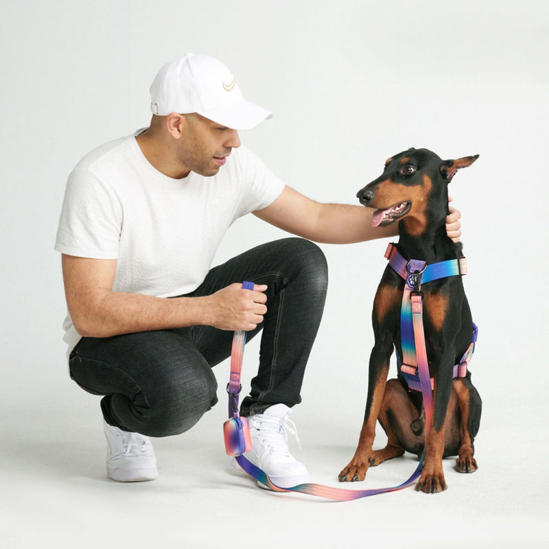 Arnés para perros sin tirones Comfort Control - Caleidoscopio