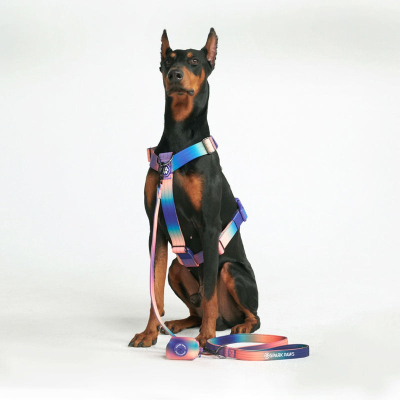 Juego de arneses para perros Comfort Control No-Pull - Caleidoscopio
