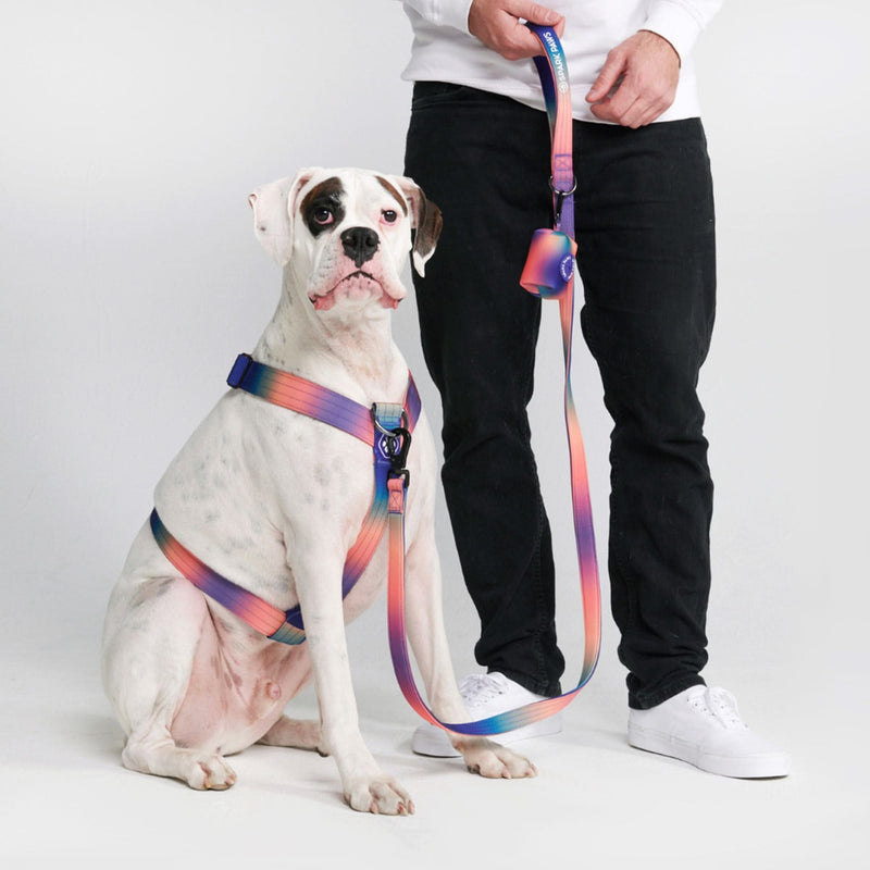 Arnés para perros sin tirones Comfort Control - Caleidoscopio