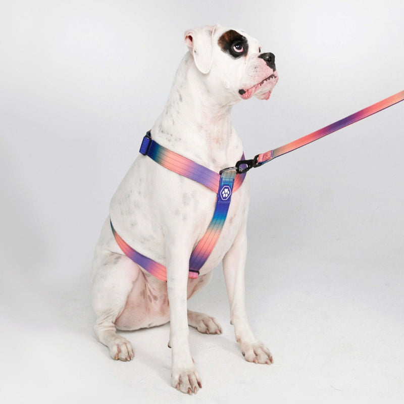 Arnés para perros sin tirones Comfort Control - Caleidoscopio