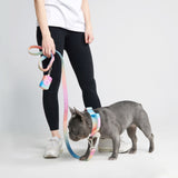Soporte para bolsas de caca - Glaseado pastel