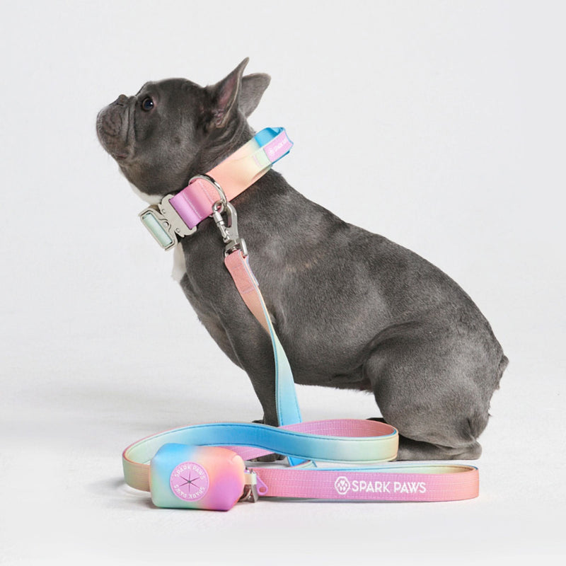 Soporte para bolsas de caca - Glaseado pastel