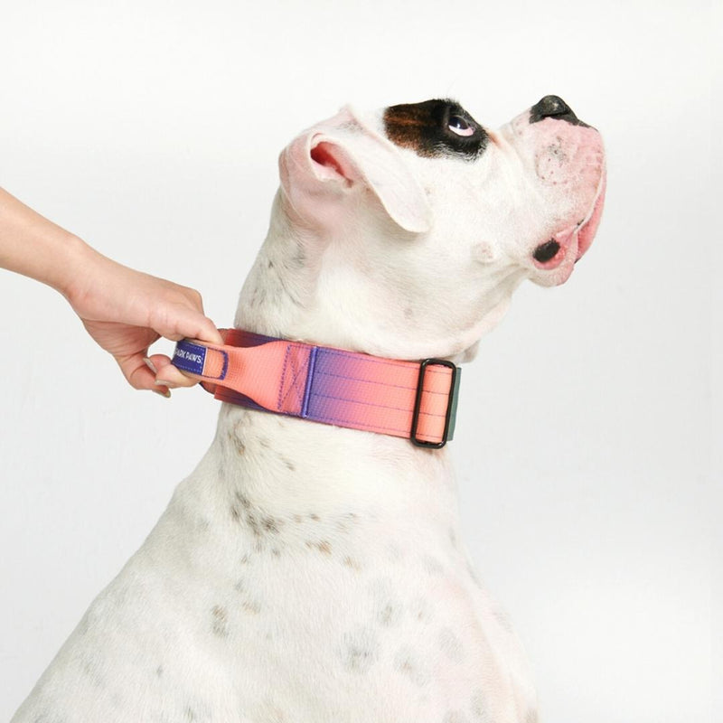 Collar táctico para perros - Caleidoscopio