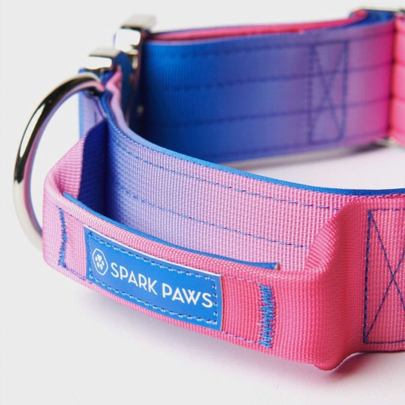 Collar táctico para perros - Cono de nieve