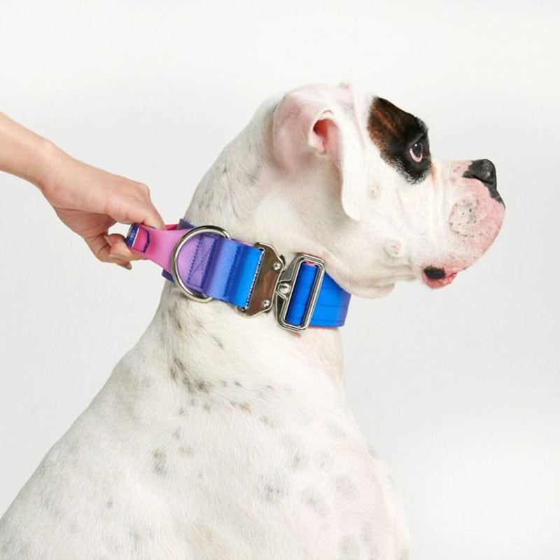 Collar táctico para perros - Cono de nieve
